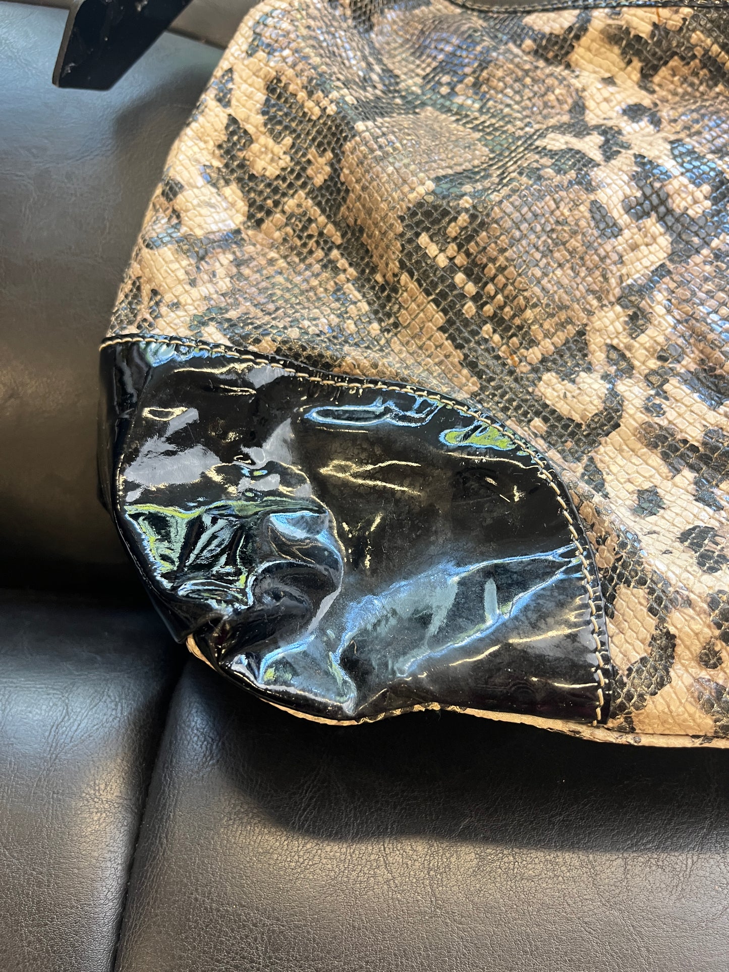 DOONEY & BOURKE SNAKE PURSE