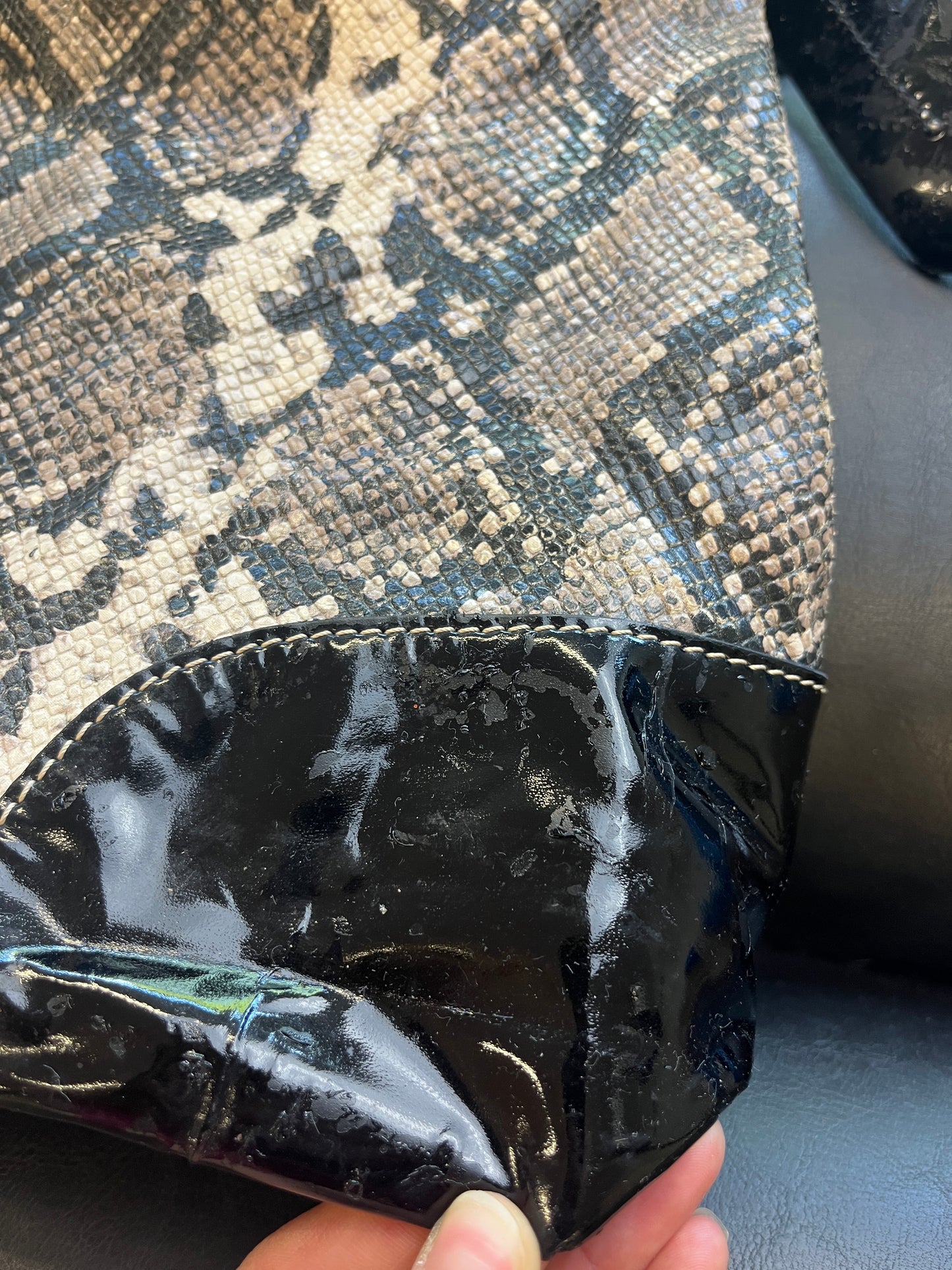 DOONEY & BOURKE SNAKE PURSE