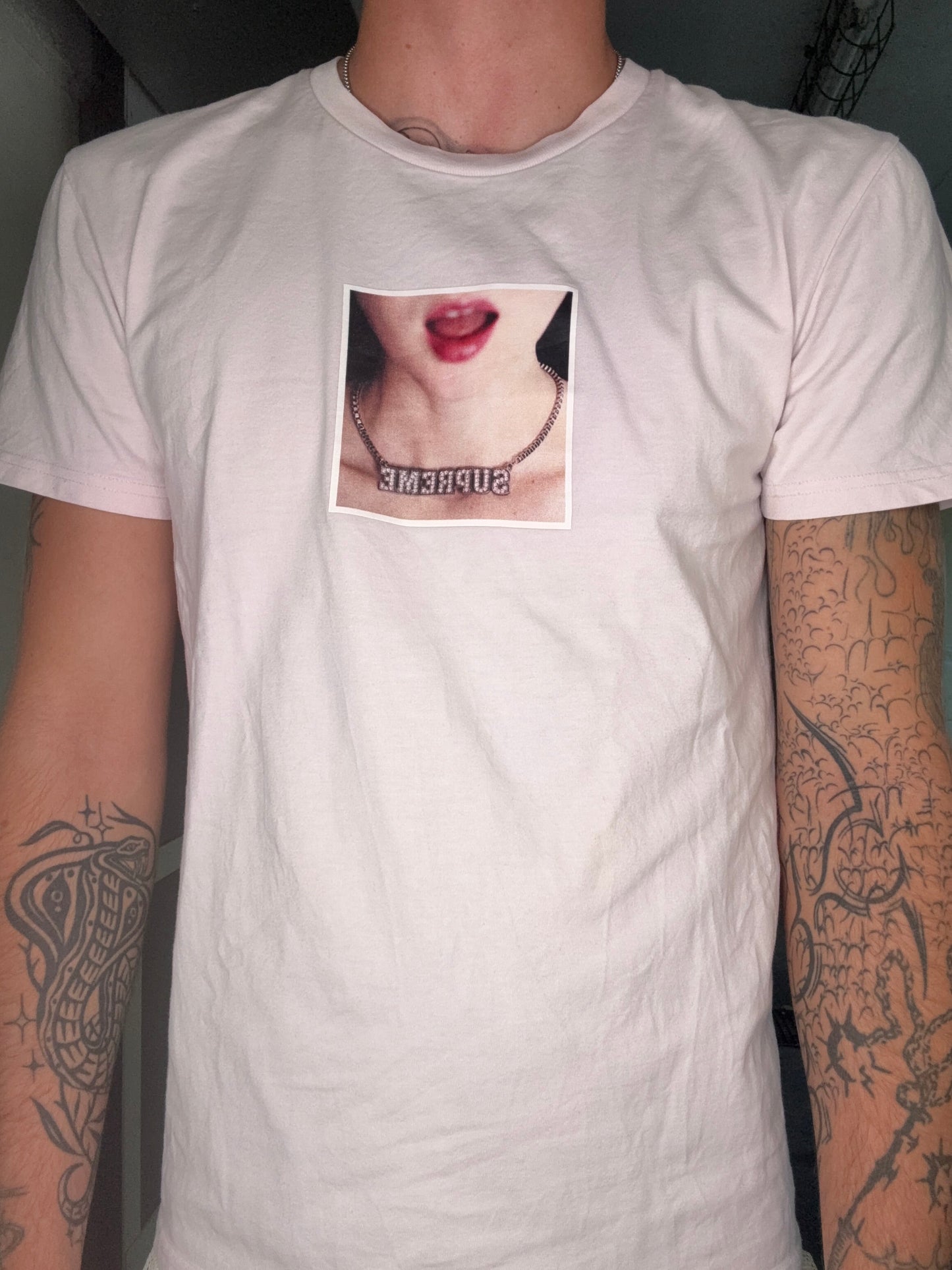SUPREME PHOTO GRAPHIC TEE – DUSTY PINK (M)