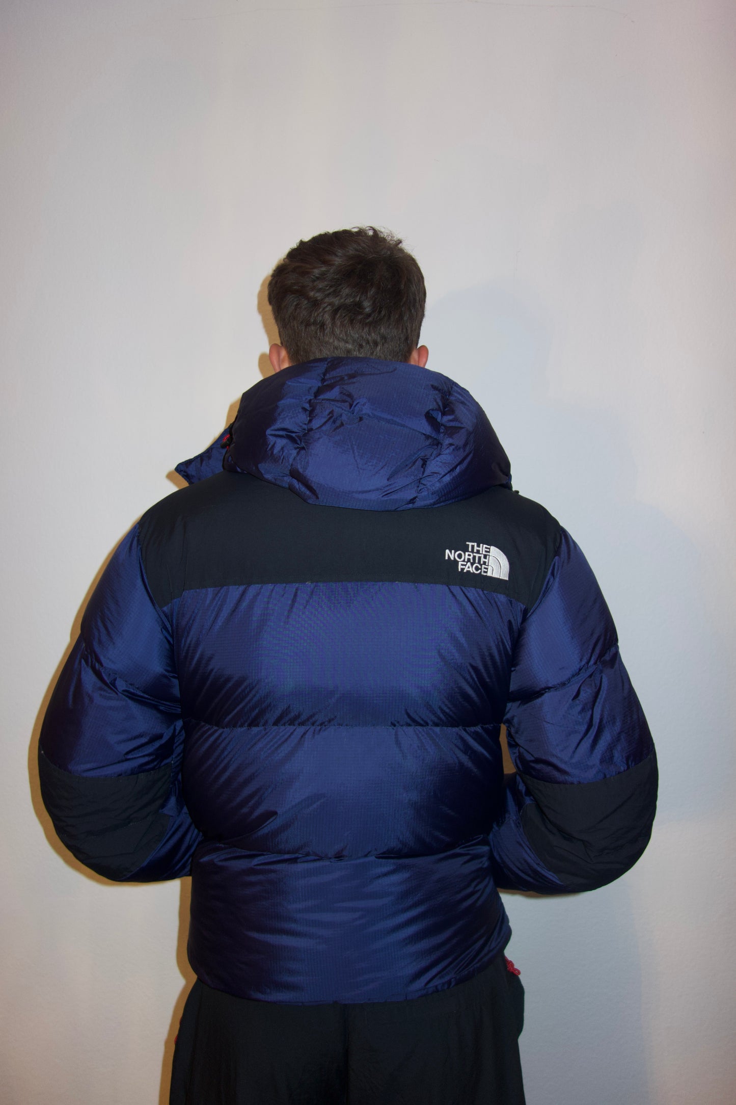 The NORTH FACE PUFFER (M)