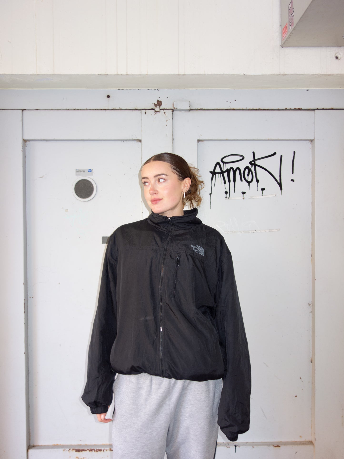 THE NORTH FACE ZIPPER REVERSIBLE! (L)